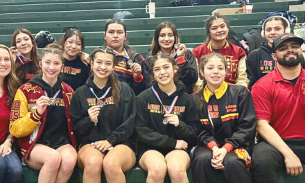 Tigers boys, girls wrestlers complete a successful section regional tourney
