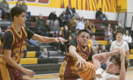 Tigers frosh basketball wins both games; JV, varsity split this week’s games