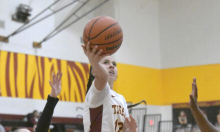 Tigers girls hoopsters qualify for section playoffs