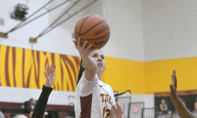 Tigers girls hoopsters qualify for section playoffs
