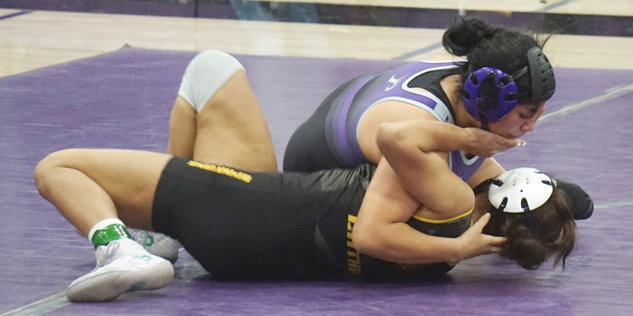 PHS wrestling goes to state championships