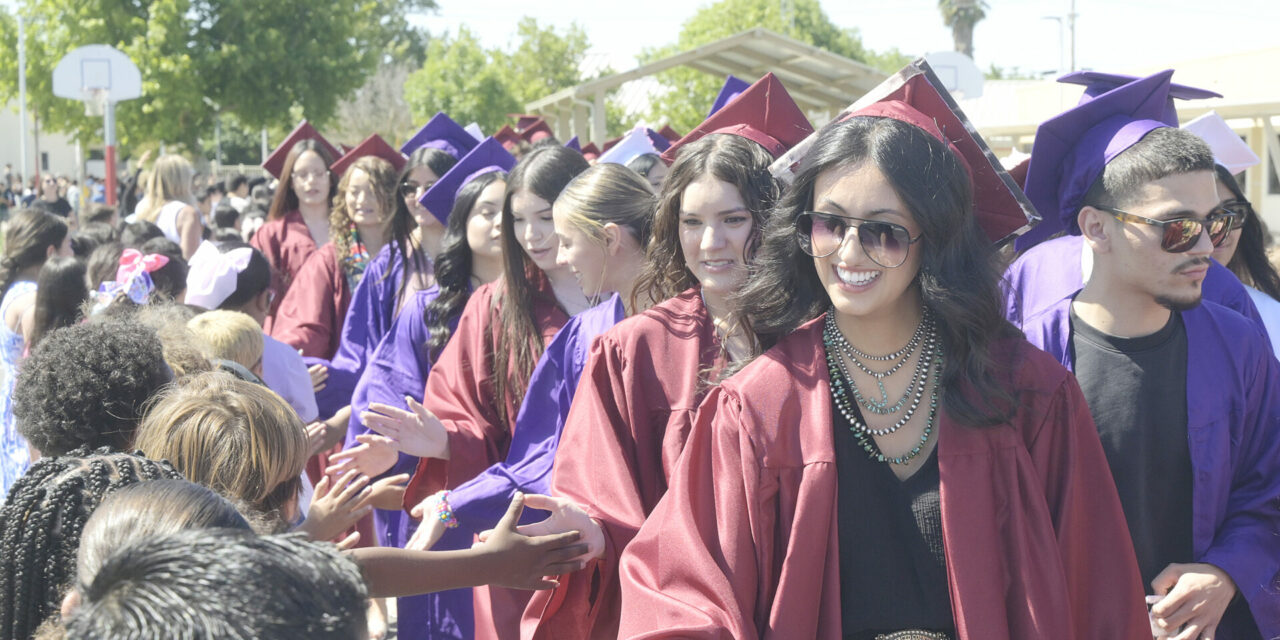 SENIOR WALK 2026