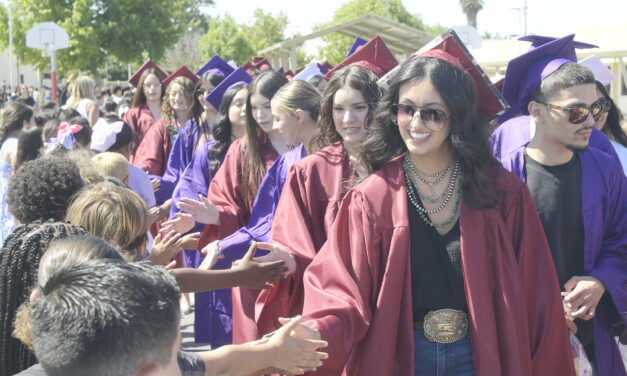 SENIOR WALK 2026
