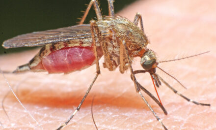 Merced County Mosquito Abatement District efforts lower risk for mosquito-borne viruses
