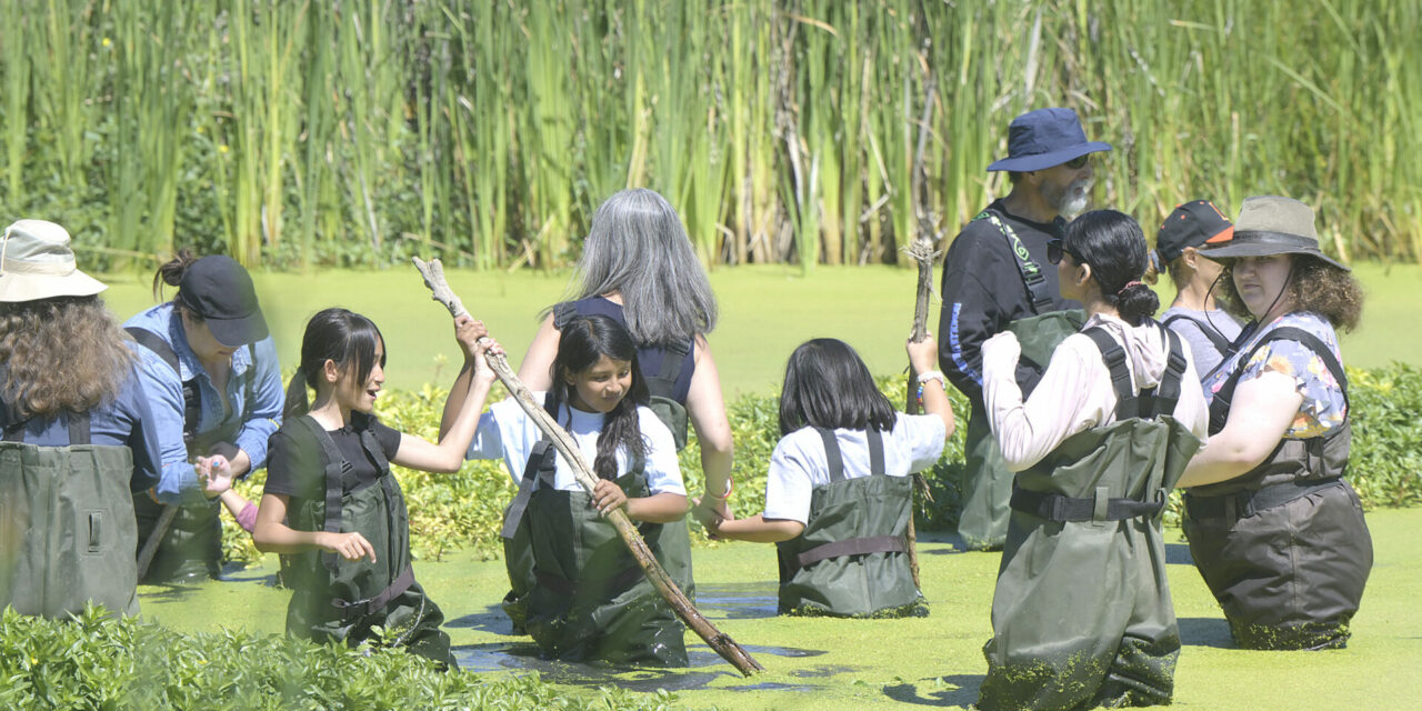 Grassland Center hosts BioBlitz with Walk-N-Wade Tour
