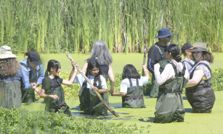 Grassland Center hosts BioBlitz with Walk-N-Wade Tour