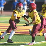 YOUTH FOOTBALL: DP Seniors go 4-0 ahead of LB tilt
