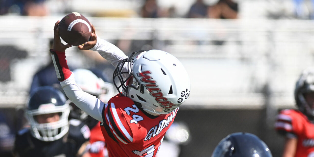 LB Wildcats split against Bulldogs