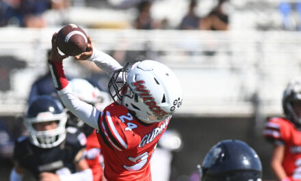 LB Wildcats split against Bulldogs