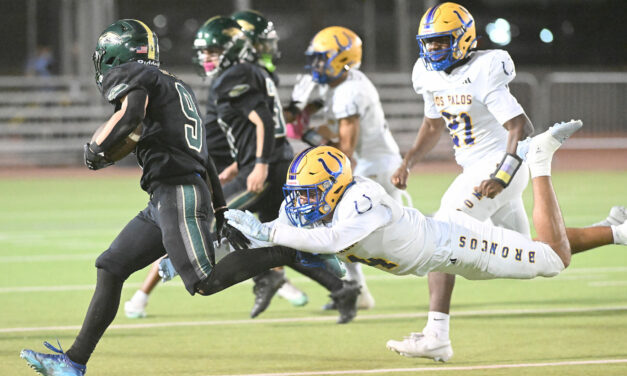 It’s ‘ground and pound’ for Liberty-Madera